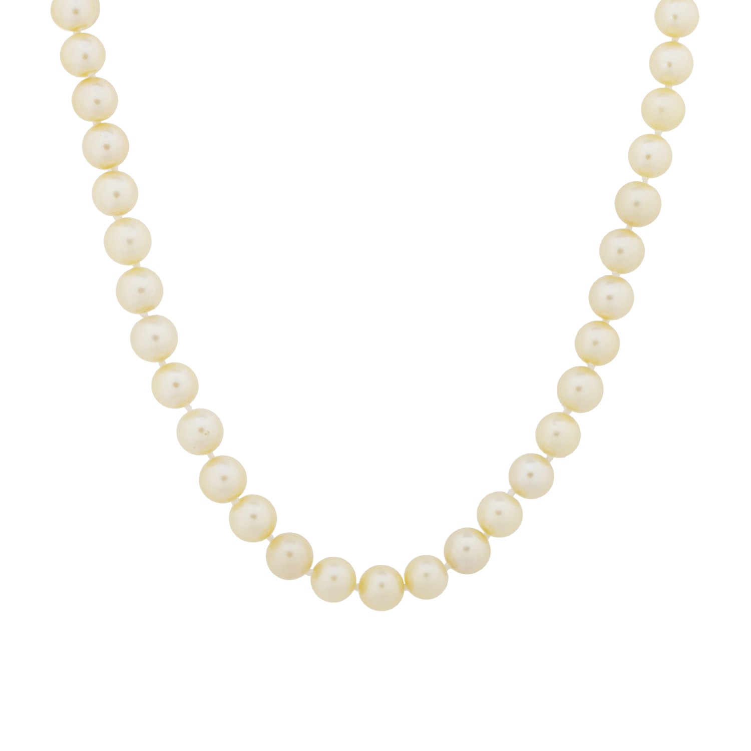 Product main image - bb57c00c-1bf4-4082-9049-5676f124f0af
