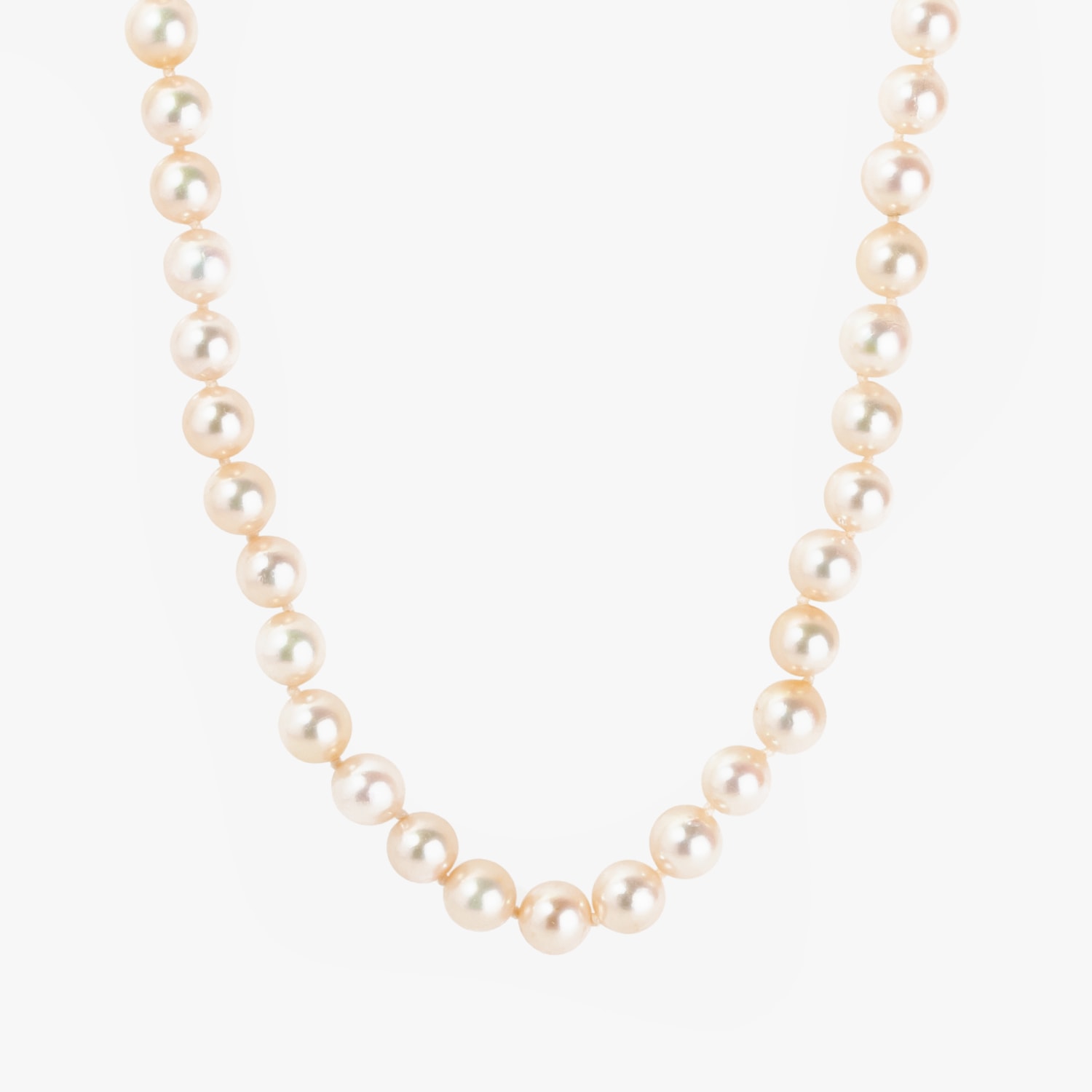 image_05269823-260b-4681-b248-184da54e549a