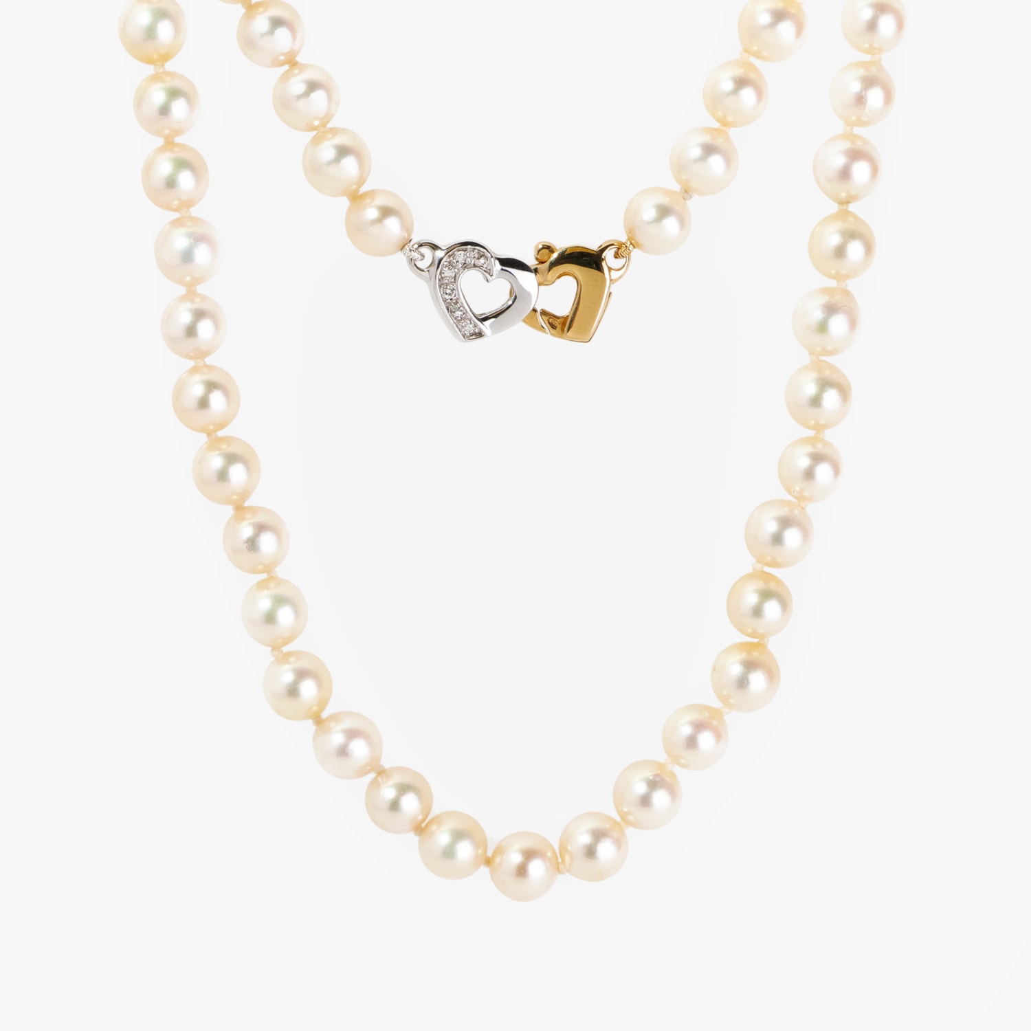 image_021ee89e-08c8-4076-ad07-0e5d39593d2f