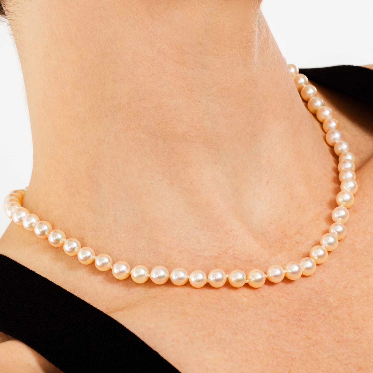 image_bf5cede2-5948-4ab7-bb16-a69b0346cc8a