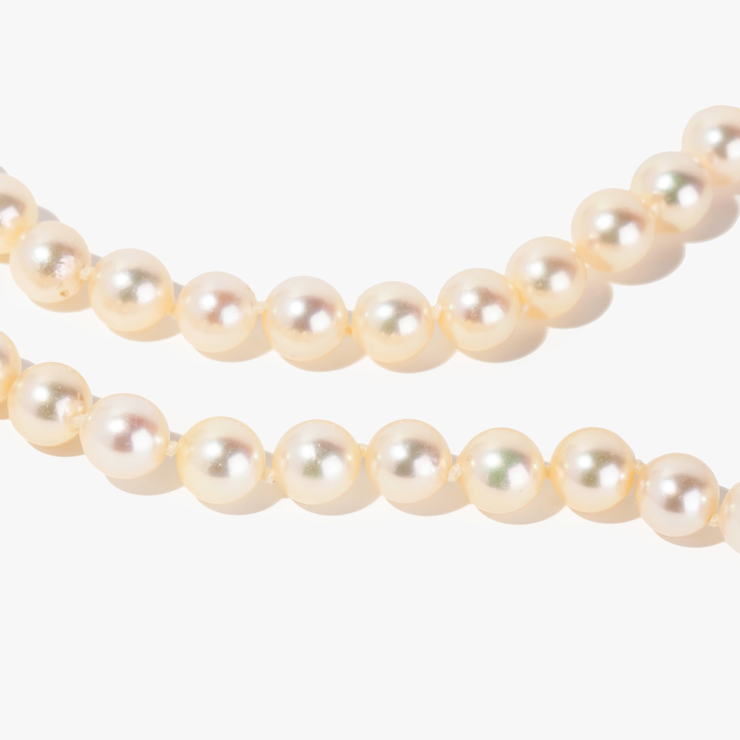 image_3914c4e3-6bcb-4637-97d9-1fedb35f964c