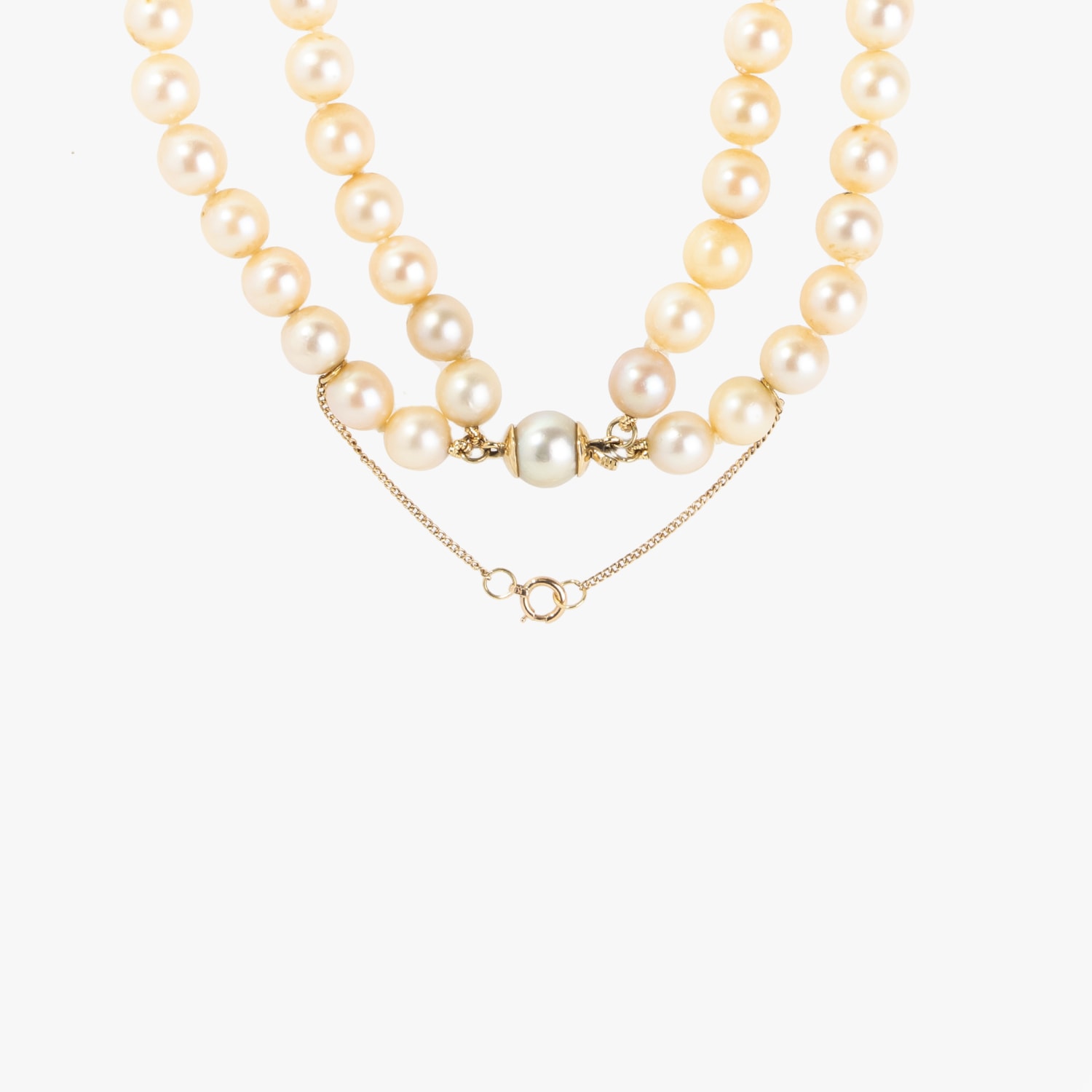 image_3b92c83b-7ca3-4bd3-a245-60f11c908507