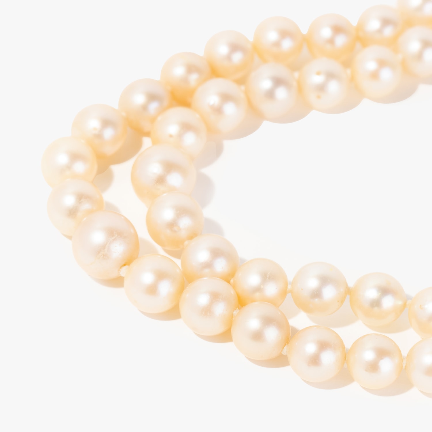 image_a329d6f3-0964-4507-979f-4804a179df54