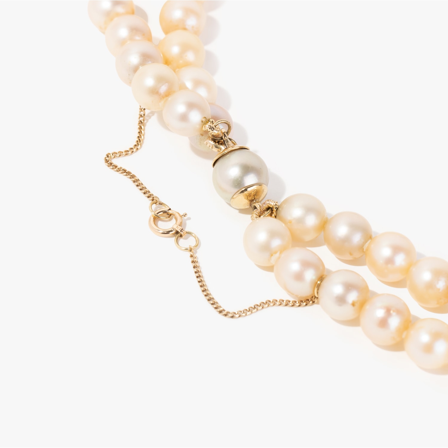 image_27d71109-30c4-4ec9-a1bc-bf34b2df2dbc