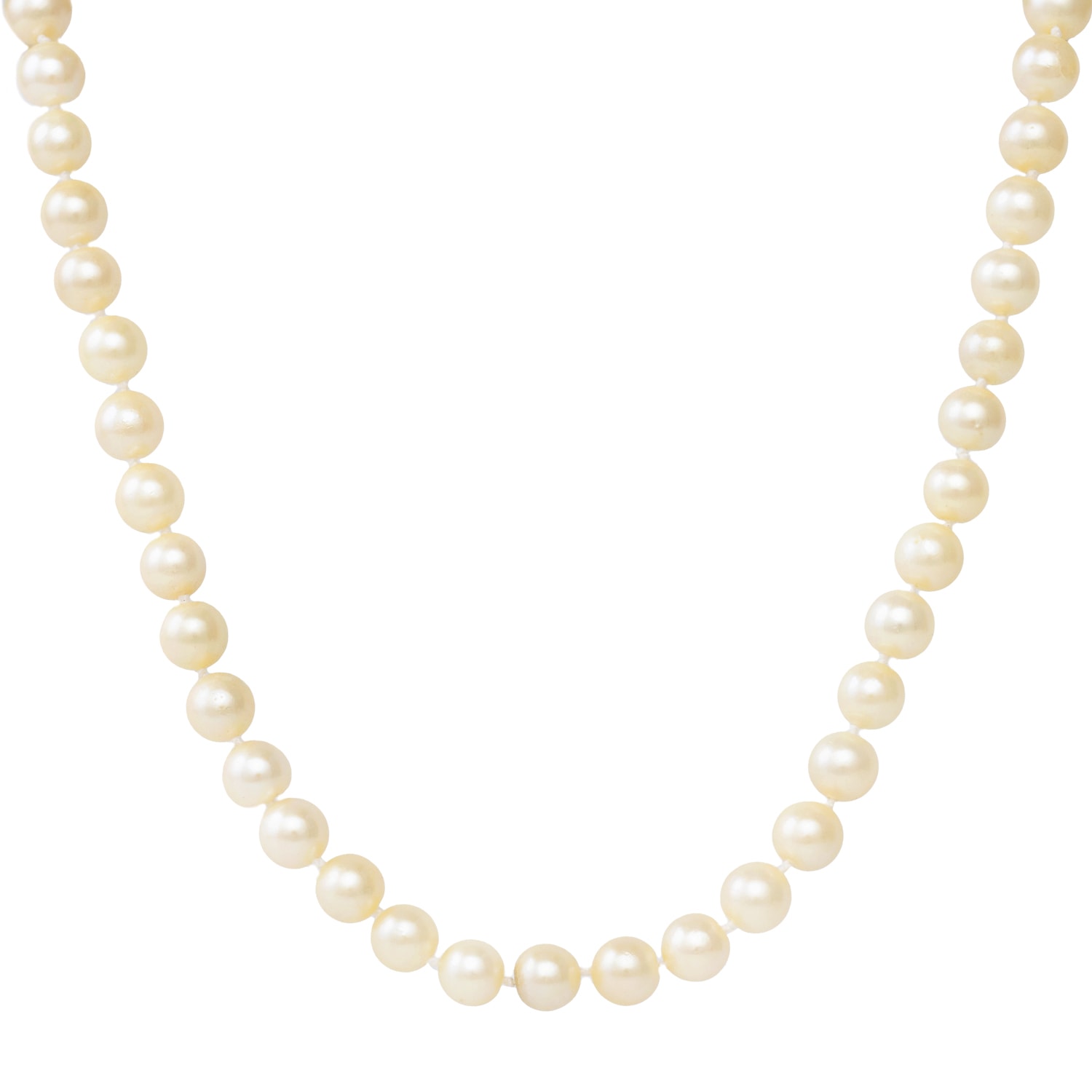 Product main image - 01afad75-4c19-41a5-85c7-2b9630165269