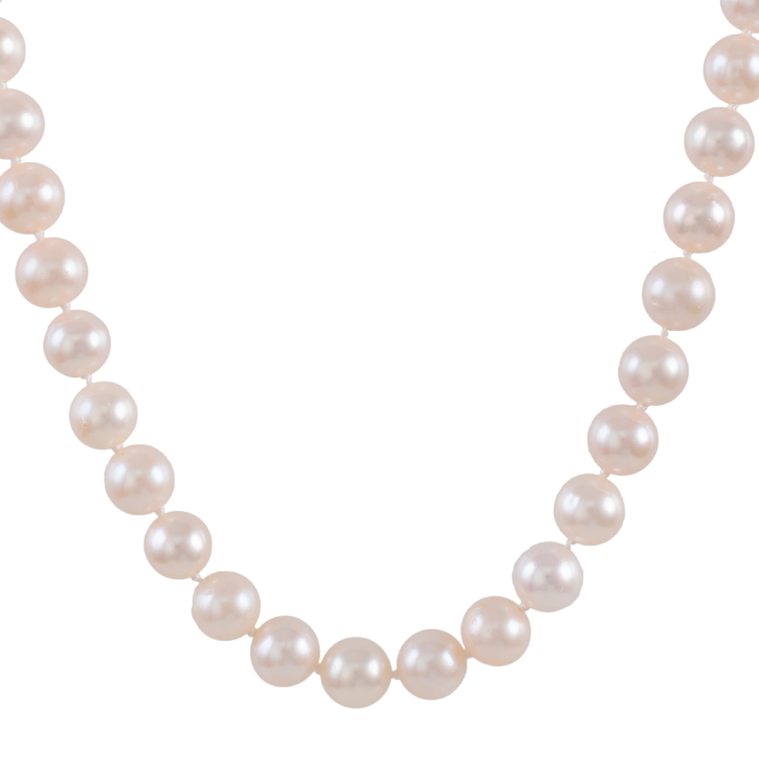Product main image - 3602b412-d385-48f7-999c-c7e092fef614