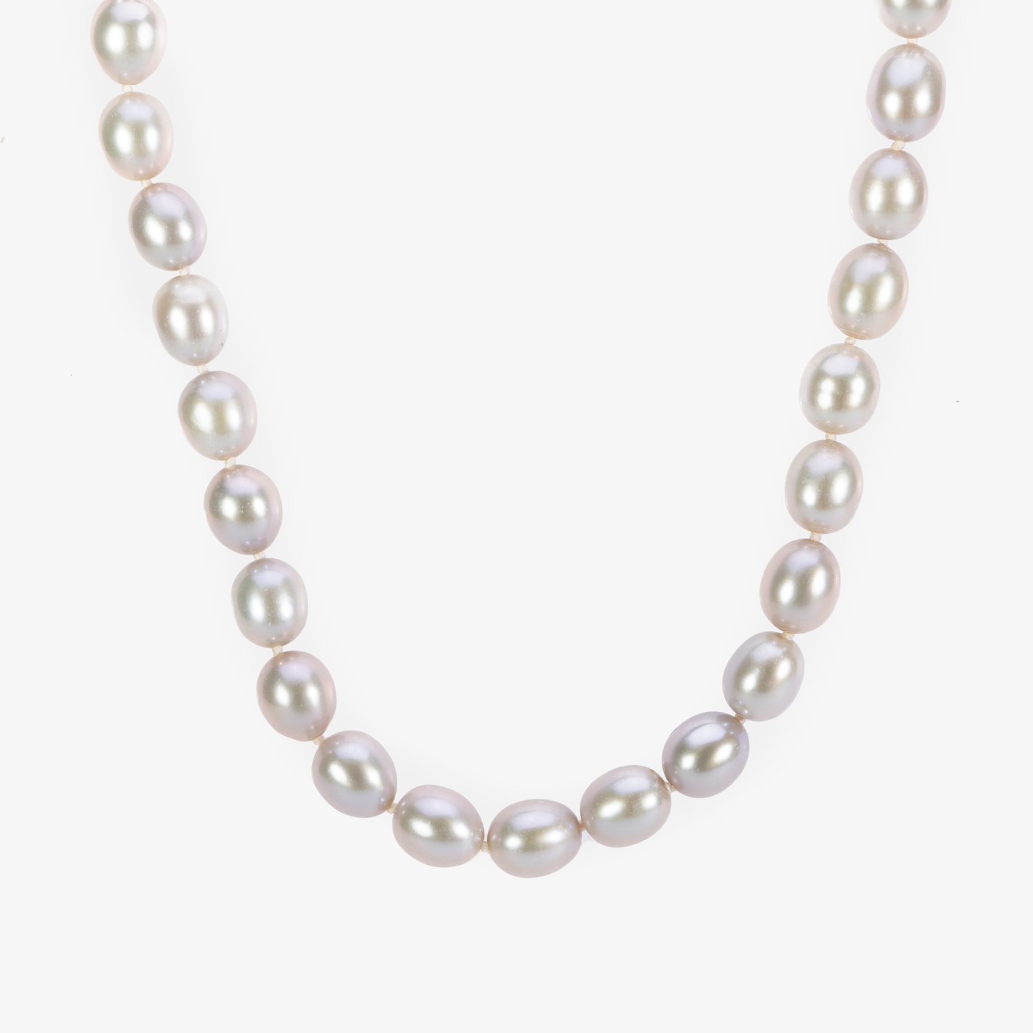 image_eb141580-a5ce-44e7-8d74-b2ff68c8ddf1