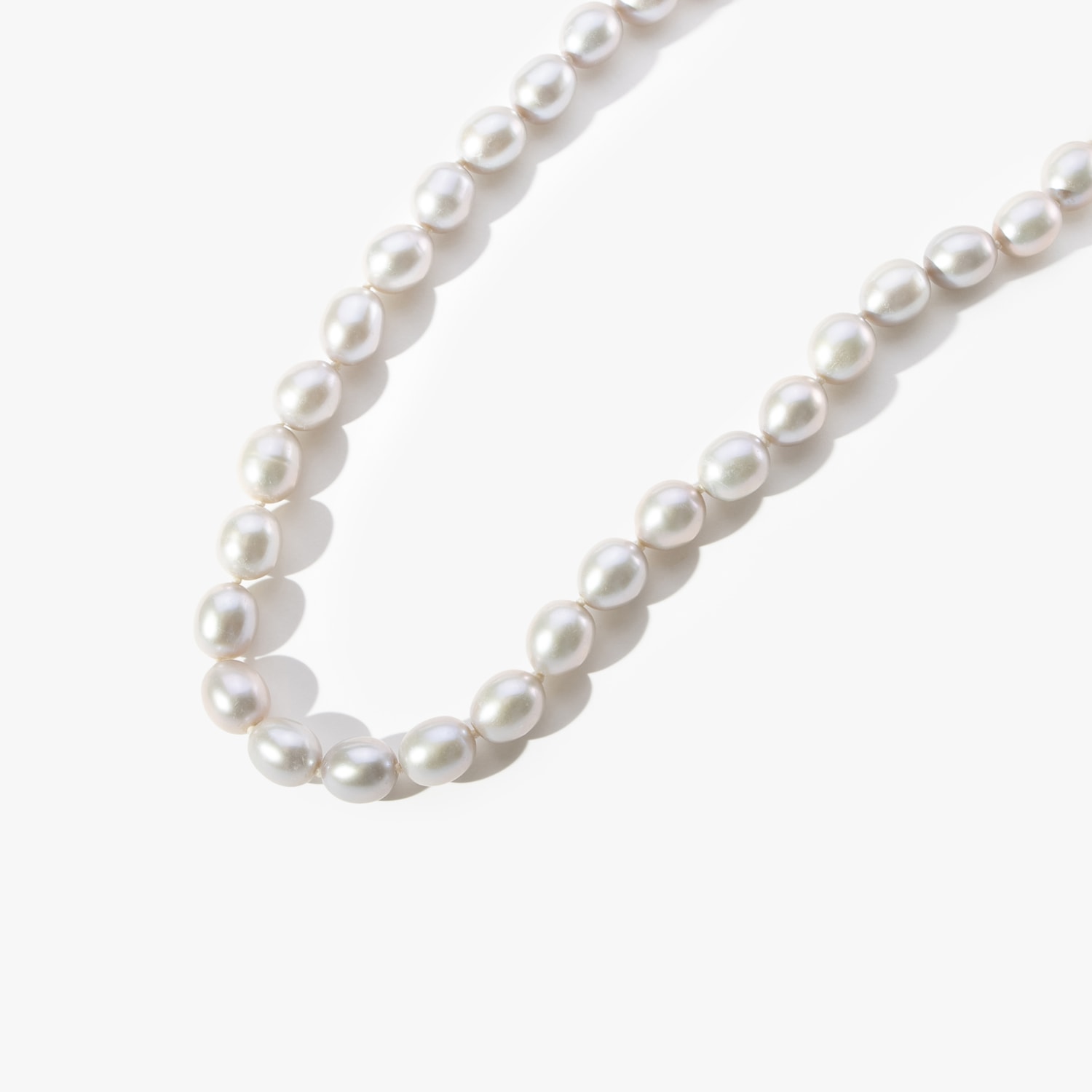 image_579aaa74-6496-4a88-a858-0a81f1df5d88