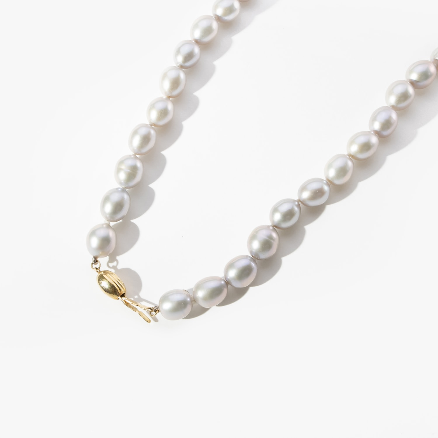 image_9125e0d4-4242-41b7-8844-469034ed6509