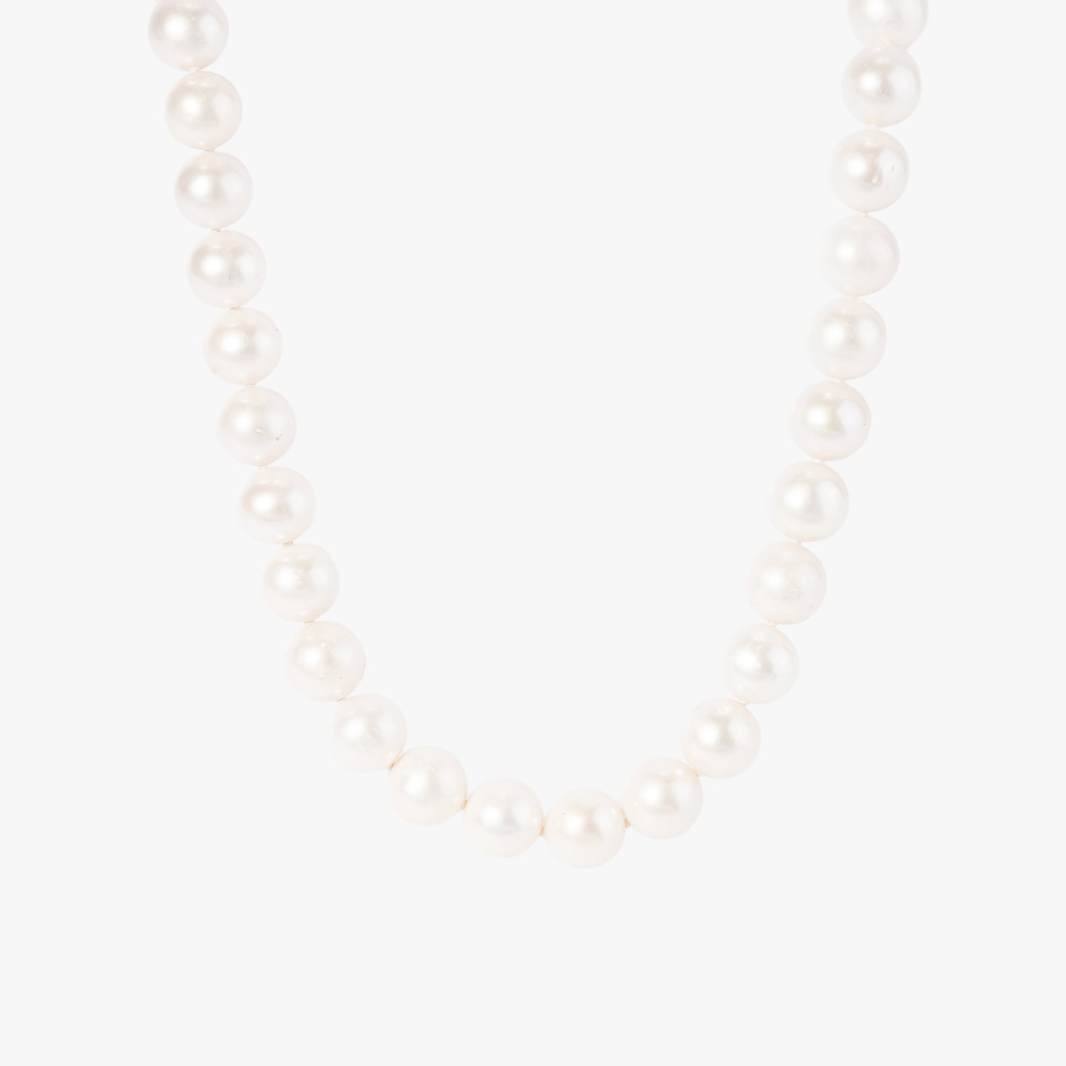 Product main image - 4ee8cce2-2f5d-4057-84bd-9ad9a6a3153a