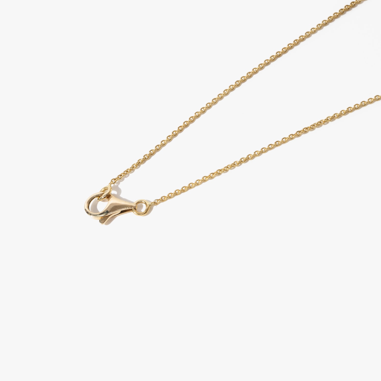 image_7d780377-a591-47bc-b81a-359a580779f5