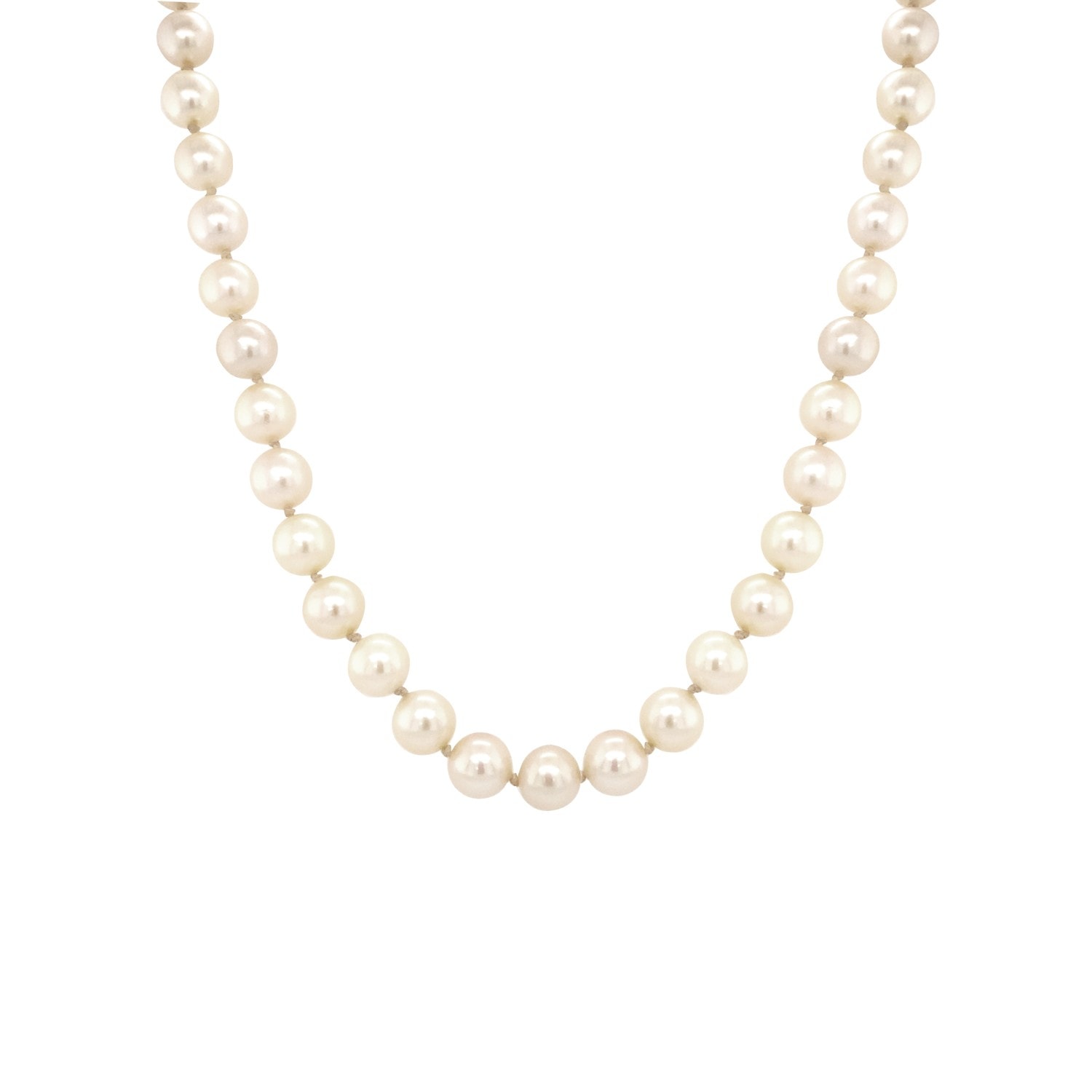 Product main image - 3b0198f5-2e34-4abc-a74d-3e8cdfe68c9b