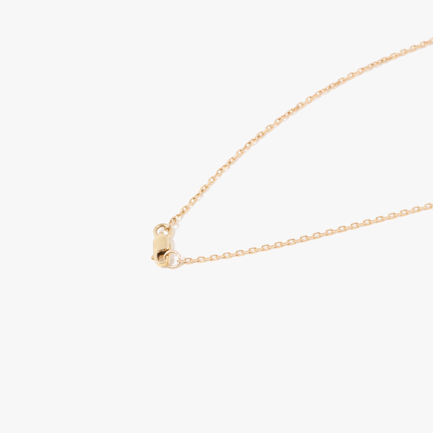 image_56ded45d-9aef-44b7-b3be-250f98f97b91