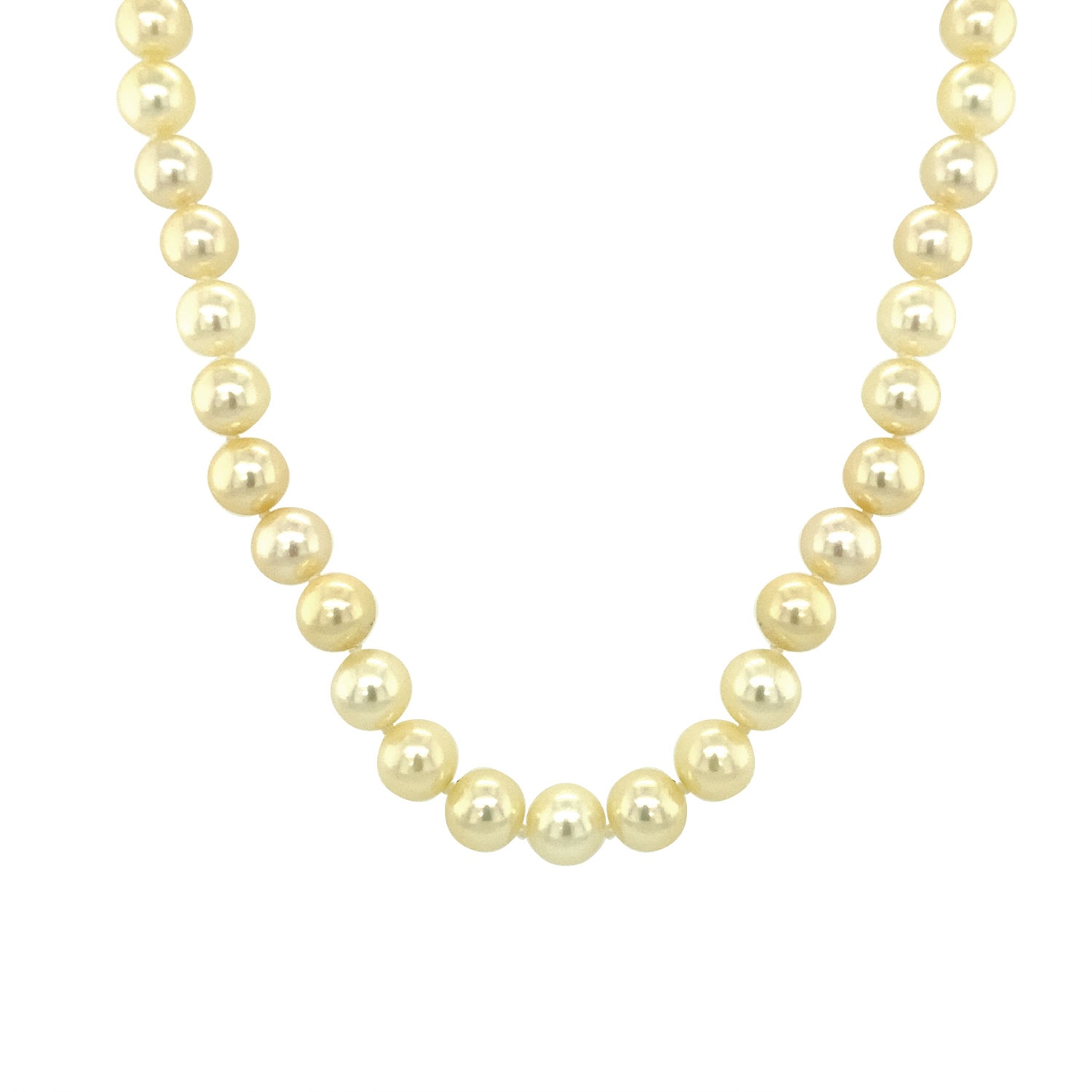 Product main image - 0a6c22d9-0a0f-4c2a-a903-a9413402970a