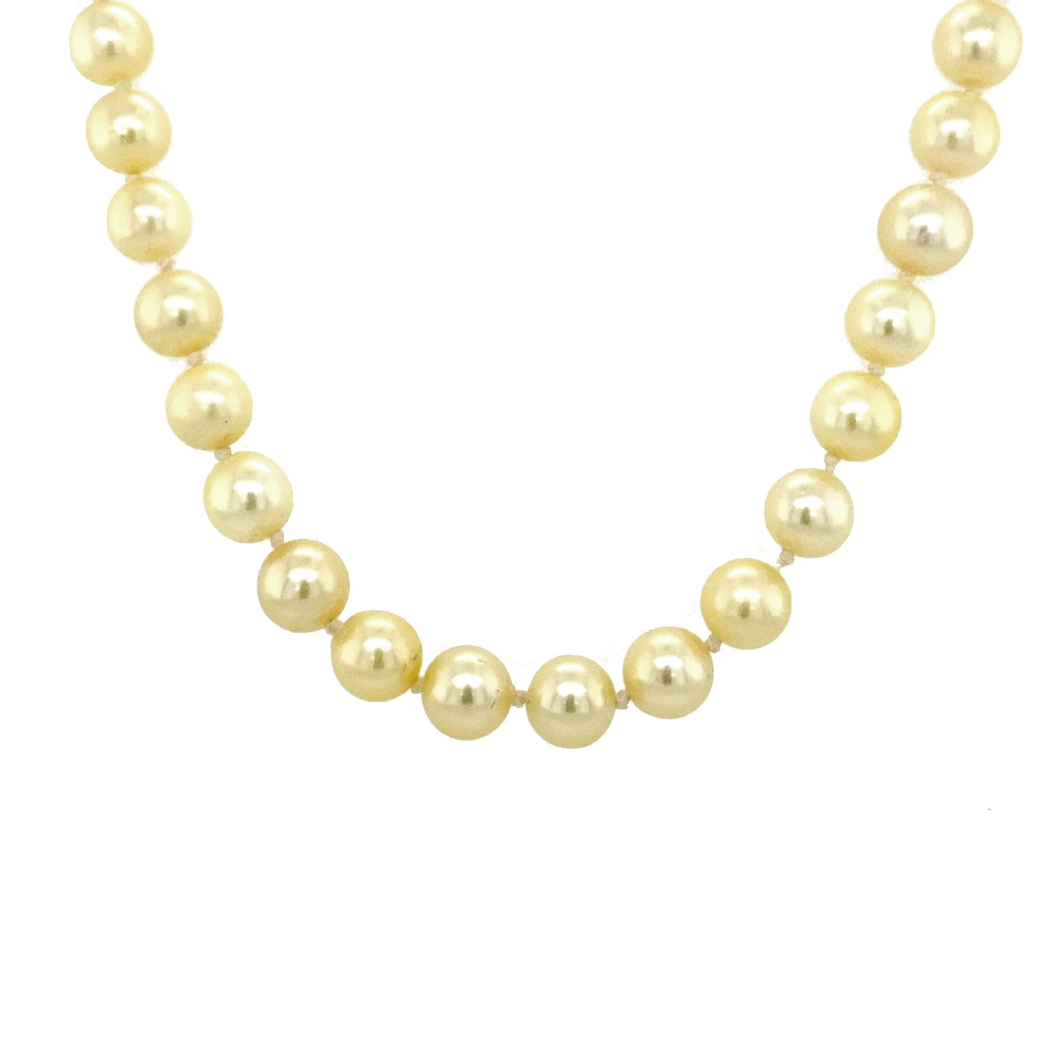 Product main image - 8ff5f8c8-7a7f-4750-94f1-ec200d50e7e7