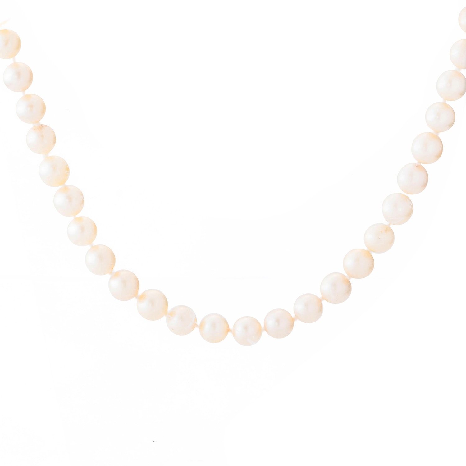 Product main image - 82669b72-ee52-4c5c-bf2a-c0bdf3e37cc8