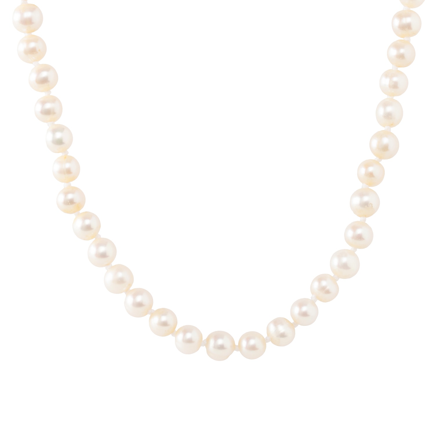 Product main image - 8f0c9ad6-4e82-444d-8dc5-265753cbd214