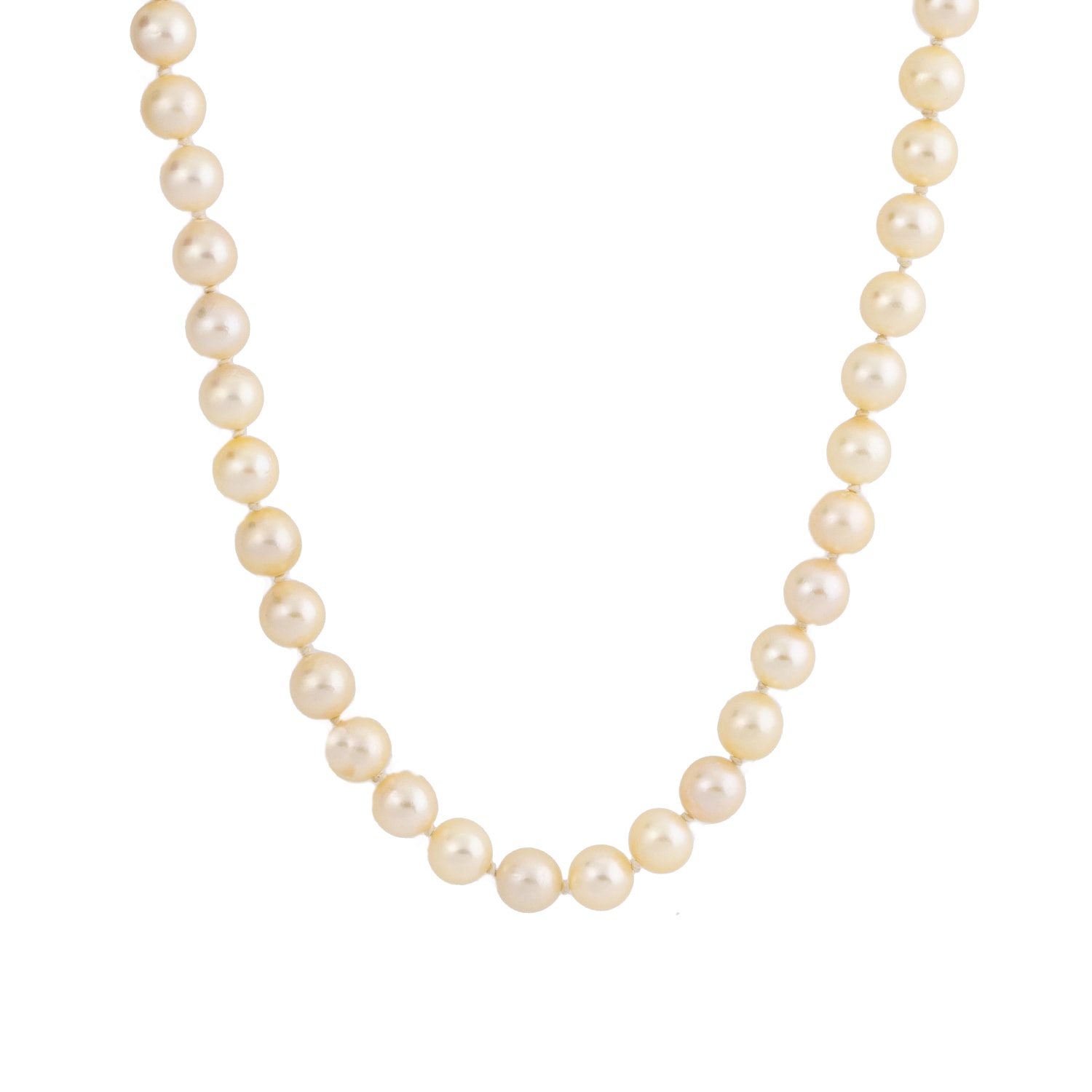 Product main image - 984eea1c-11d3-420c-b5da-2d3d75b8a21a