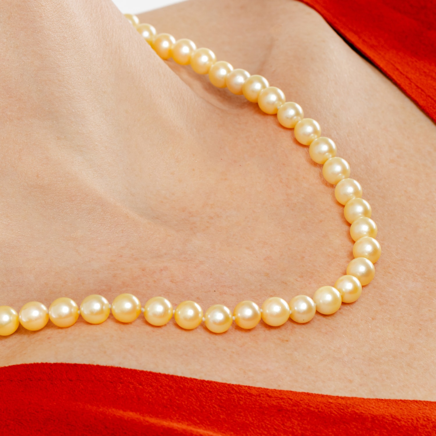 image_b25c0dd3-cef4-410b-9a4f-1cd67dbcf466