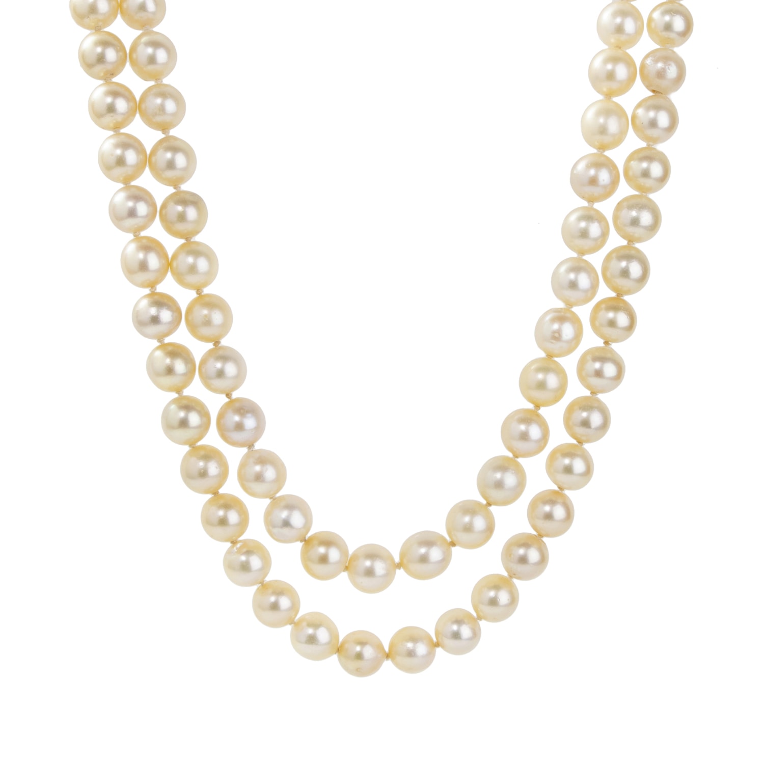 Product main image - b85ff828-e06f-439e-82c9-576788ca0085