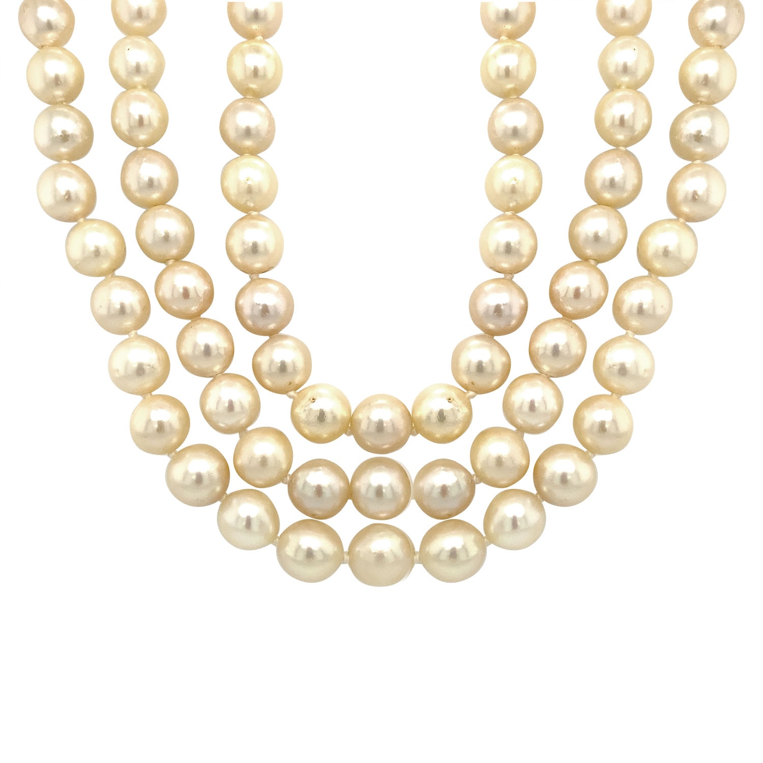Product main image - d38796a6-59e1-4942-af06-b9a165b2f9e2