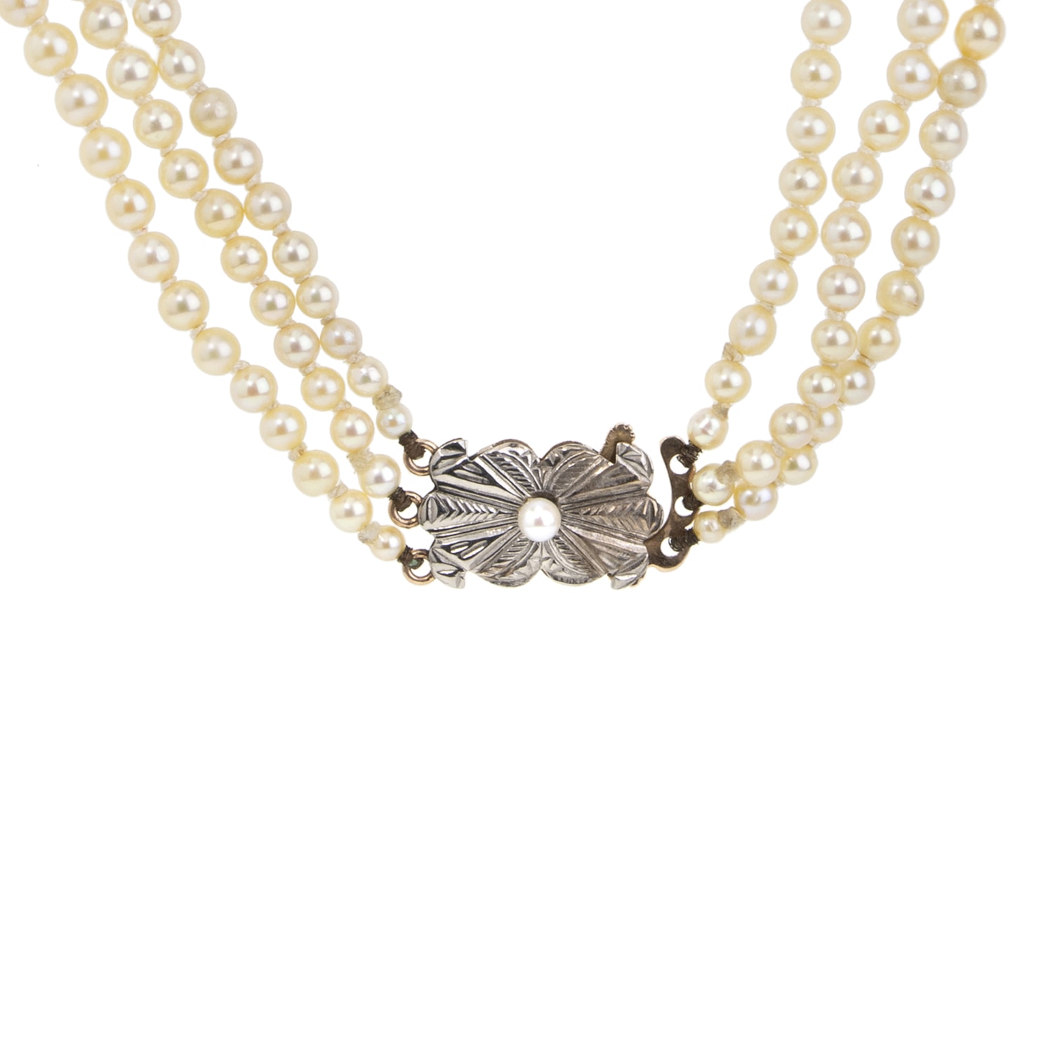 image_32676095-e34e-494f-9e63-6a604bfc0a99