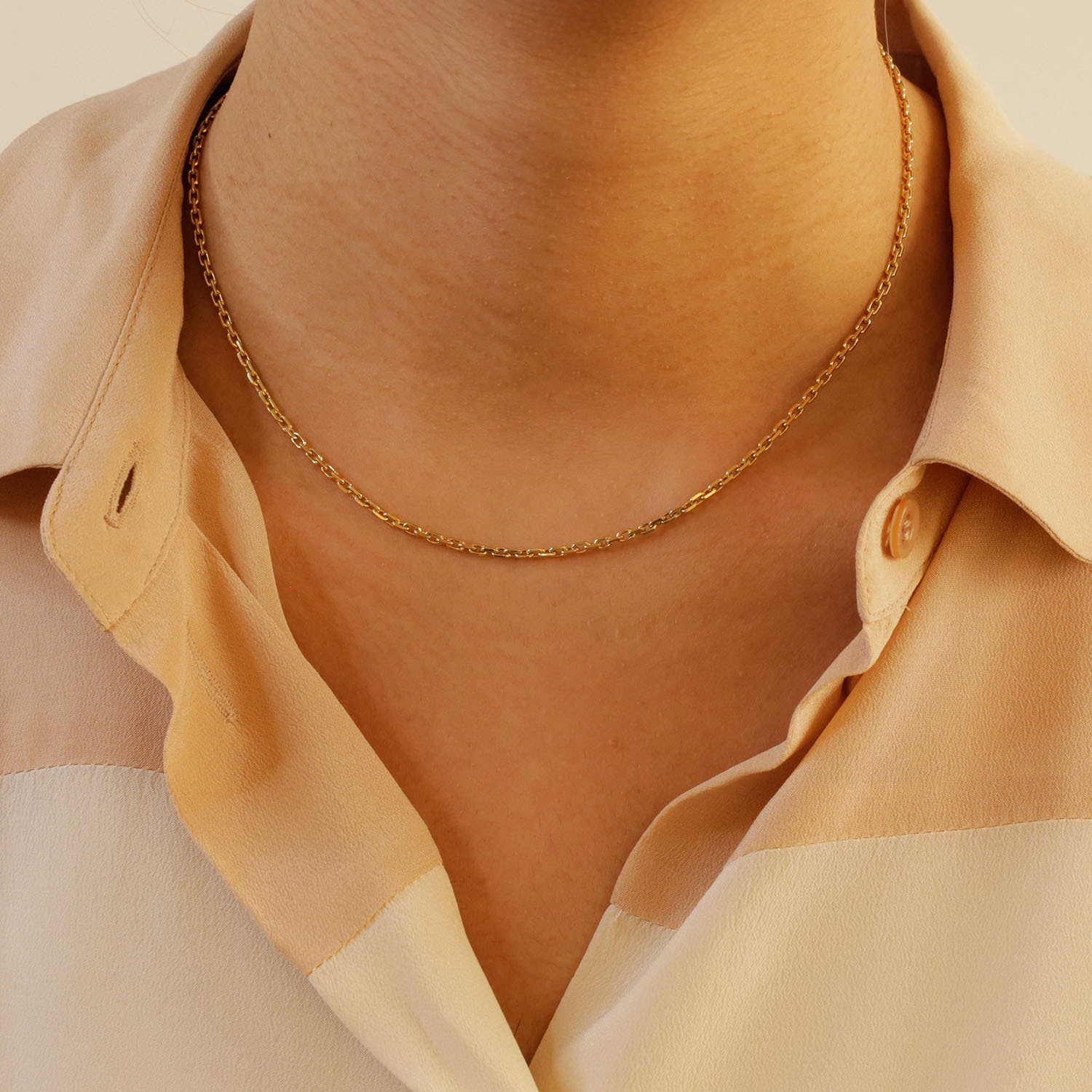 Product main image - b81dc782-c28c-4d9a-aa2f-cdc704233b6d