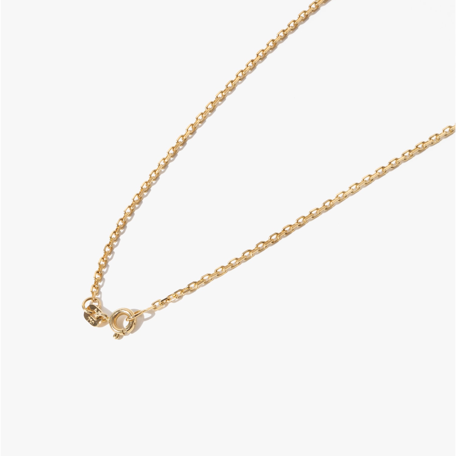 image_443524b1-5dbe-403a-931b-c01ff5fb8143