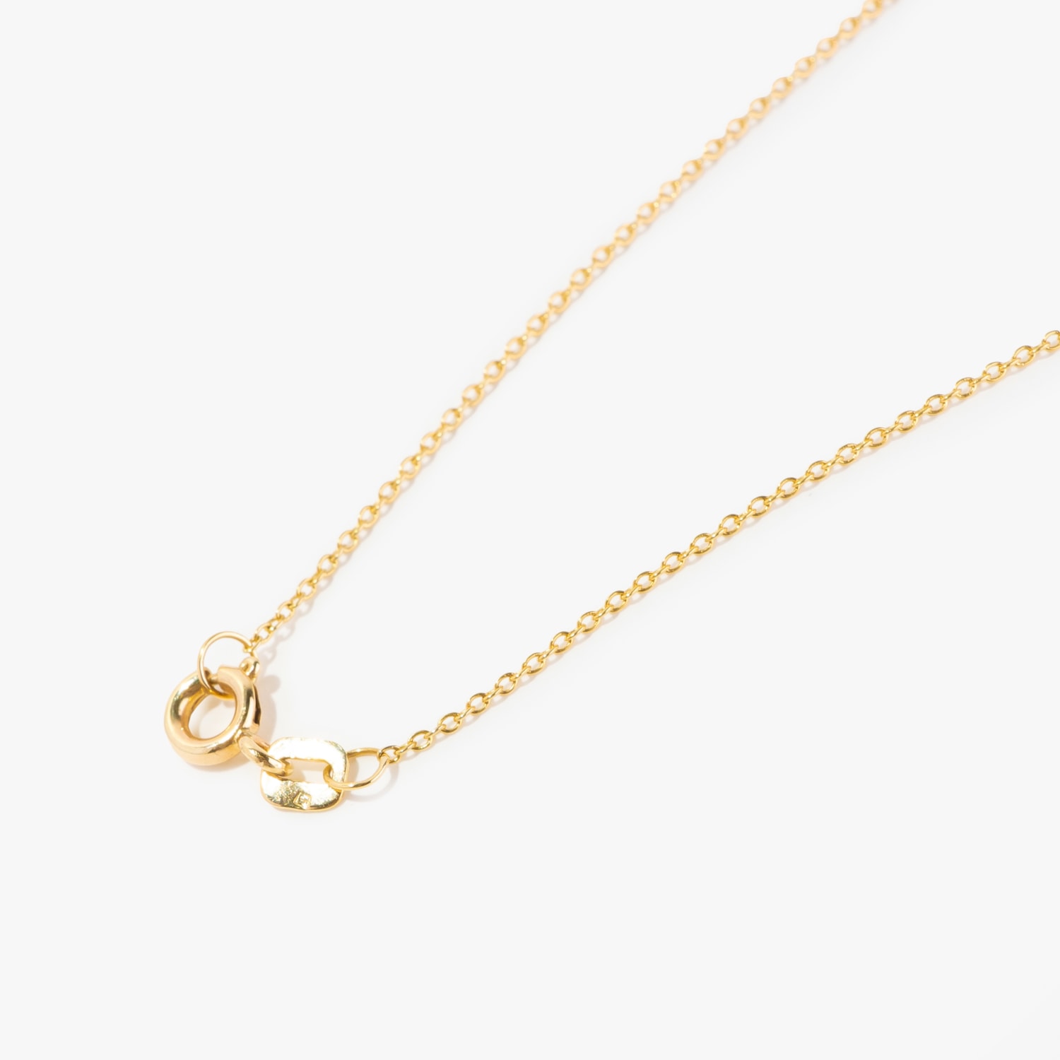 image_5e36be19-d10a-4f98-8a77-dd37601b37e7