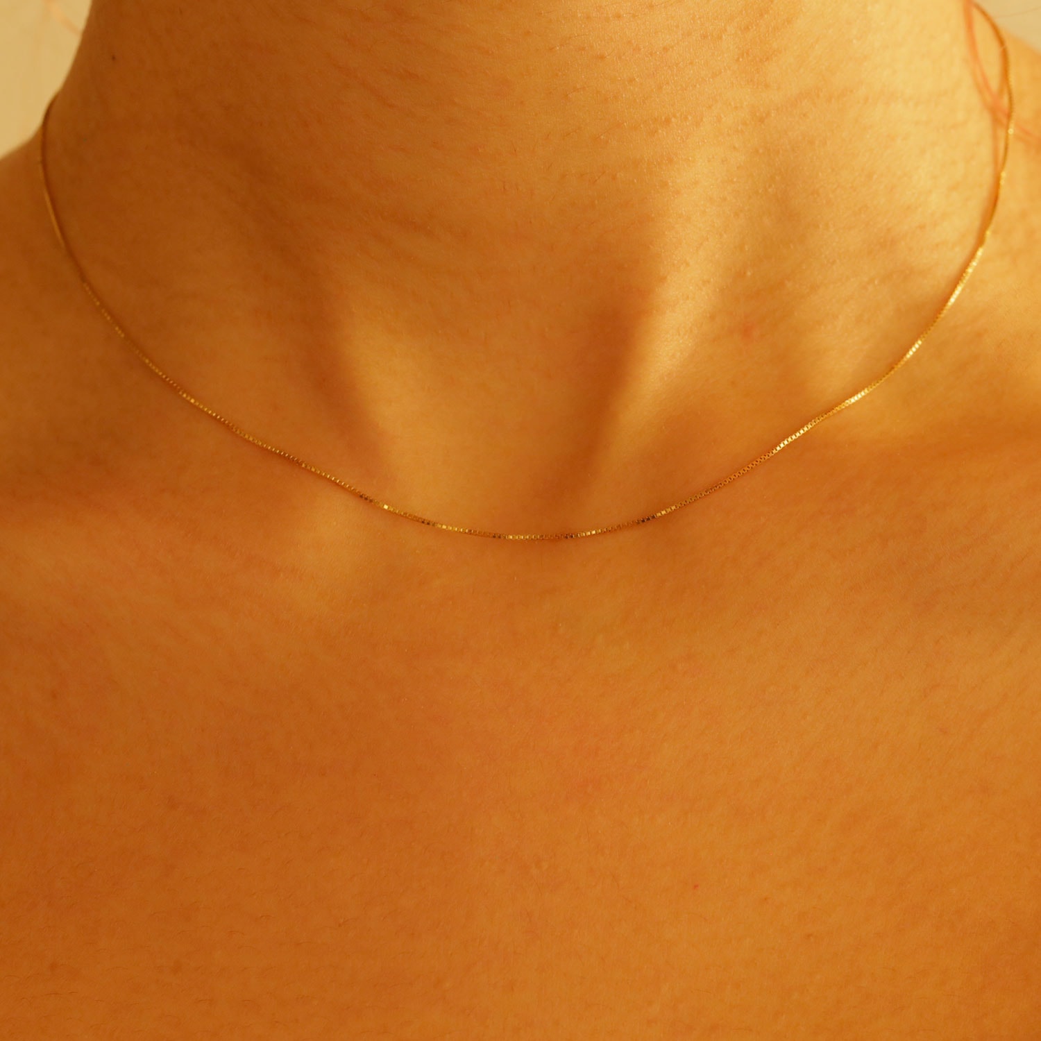 Product main image - 17e137b1-4b07-45d6-bab2-0b3a8454ac77