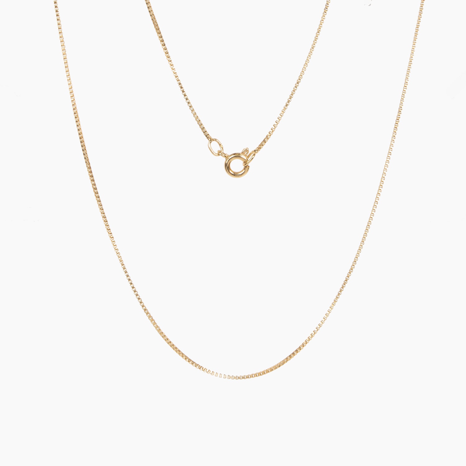 image_ef3006e2-8411-4321-b1a7-6294ee387d8d