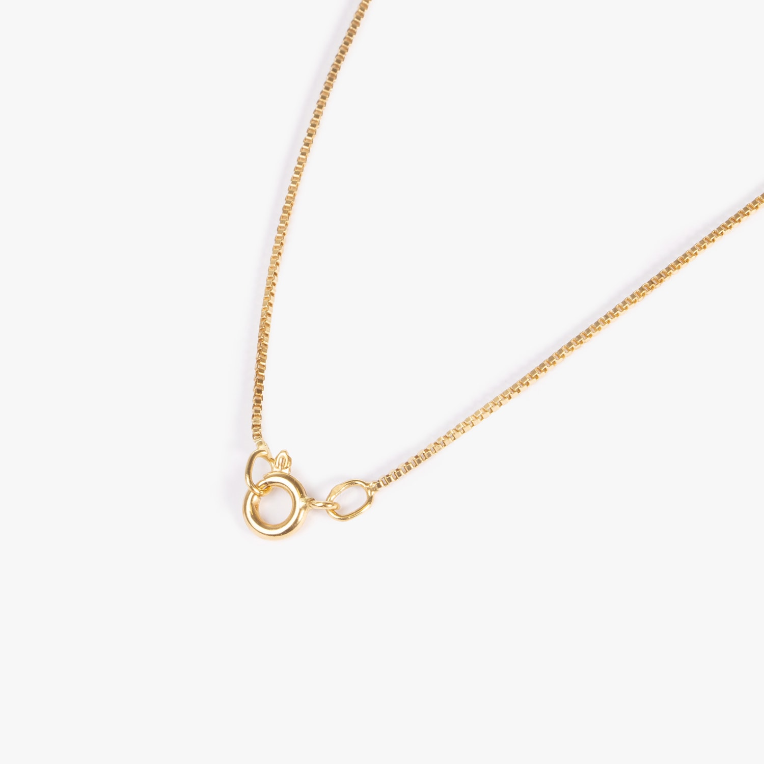 image_d1b4b5cf-6c6b-4f10-9960-fc757d1013bb