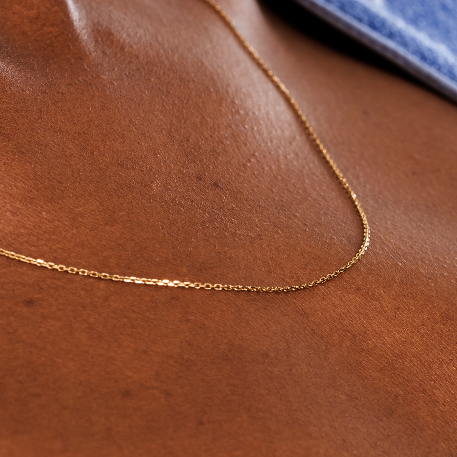 image_f6506417-e641-43ac-95b3-6dba0f3335ad