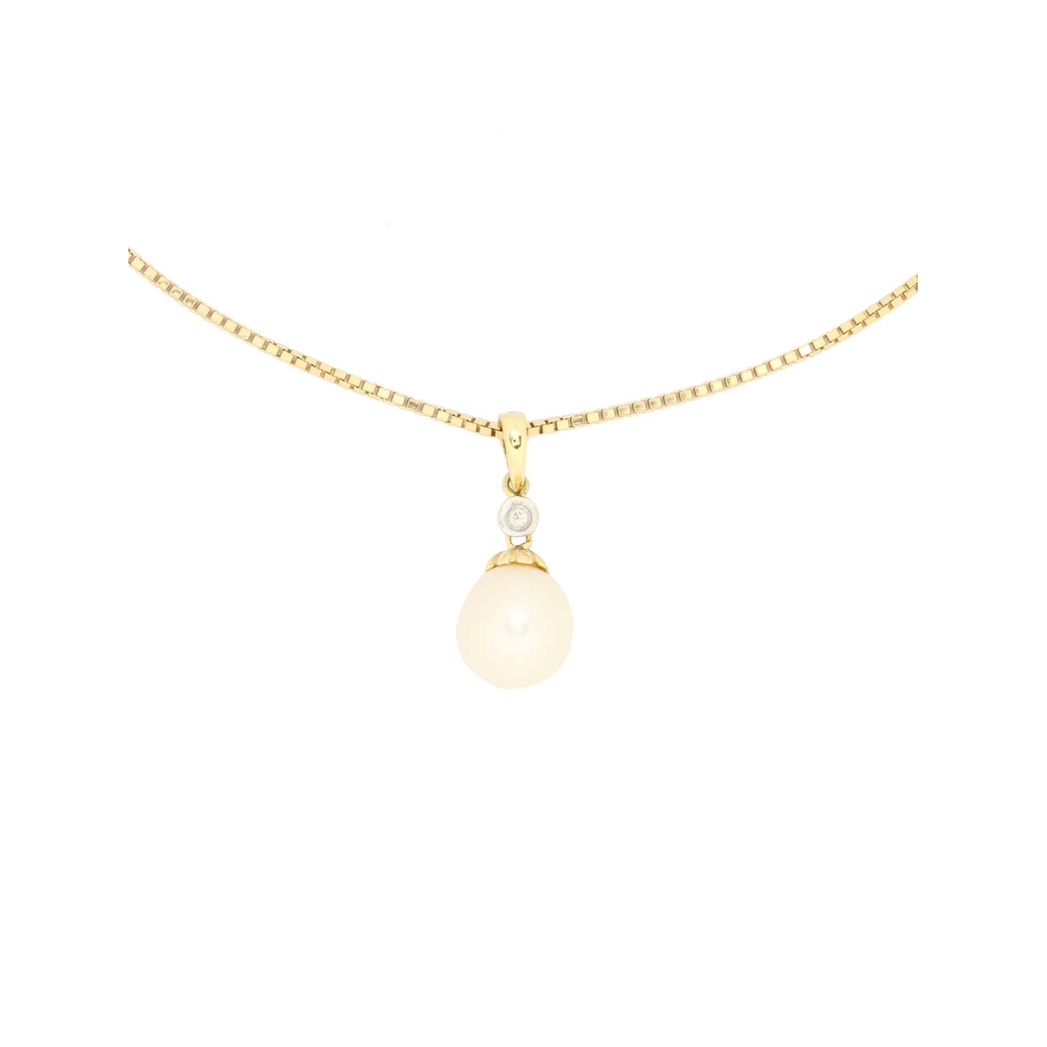 Product main image - d62de5a4-fd5b-4d7e-9b6c-1f57e6270396