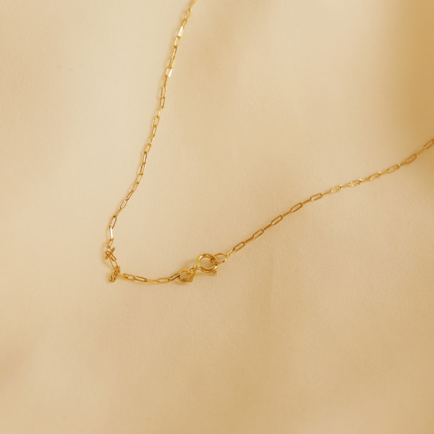 image_3e7b3d50-1935-4e26-a5fe-21d49be23dbd