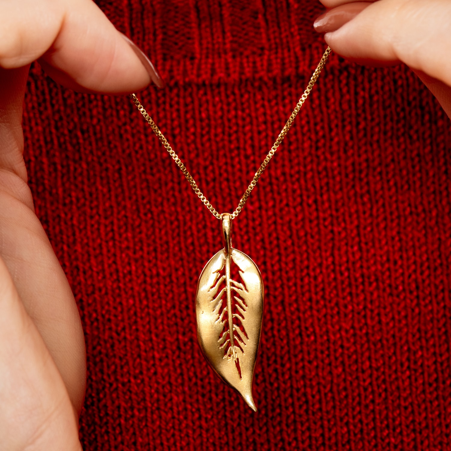 image_0f7b8211-551c-470e-a873-025d9e9d826f