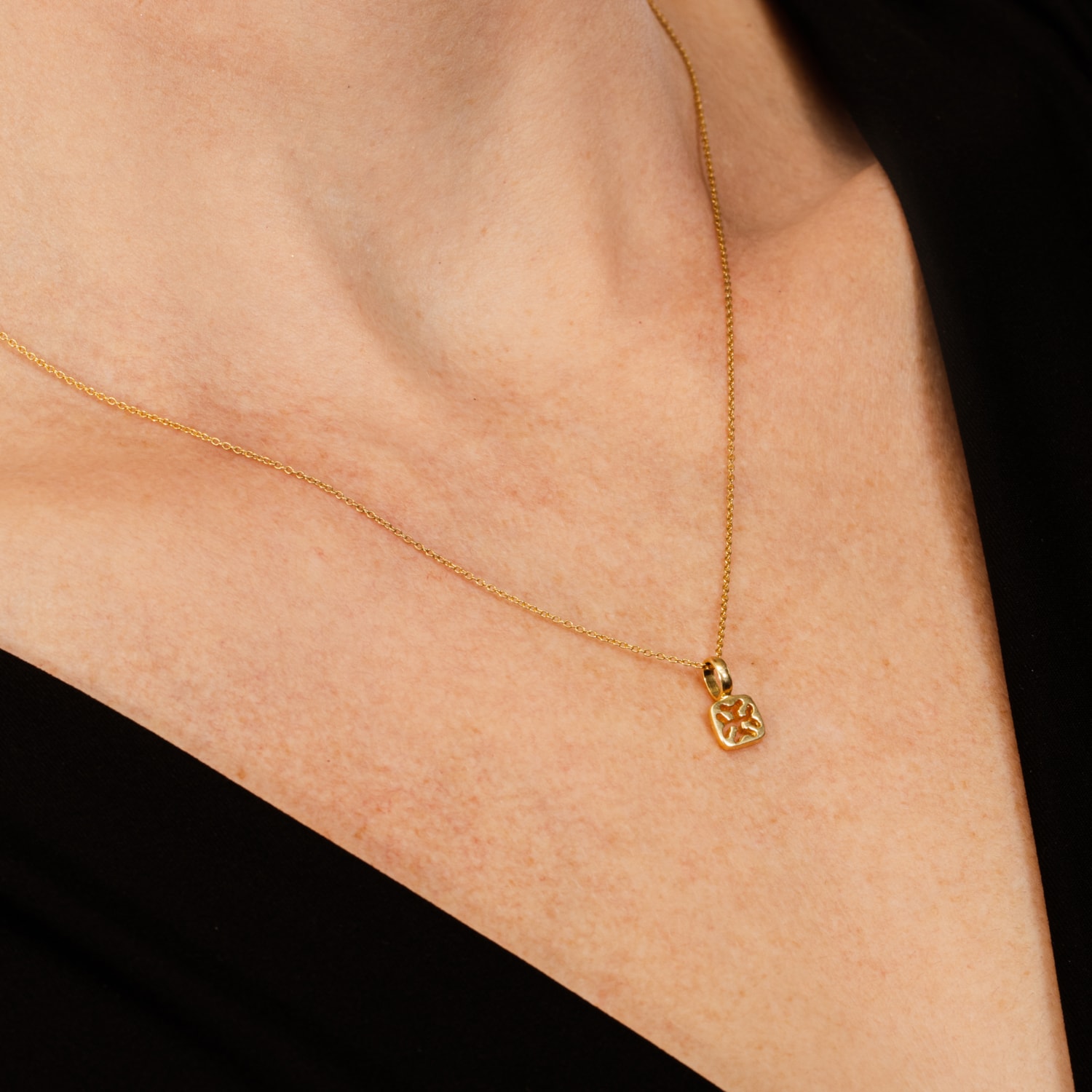 image_cce50f1b-c28e-49ee-a5e8-8ee56c6c7a7c