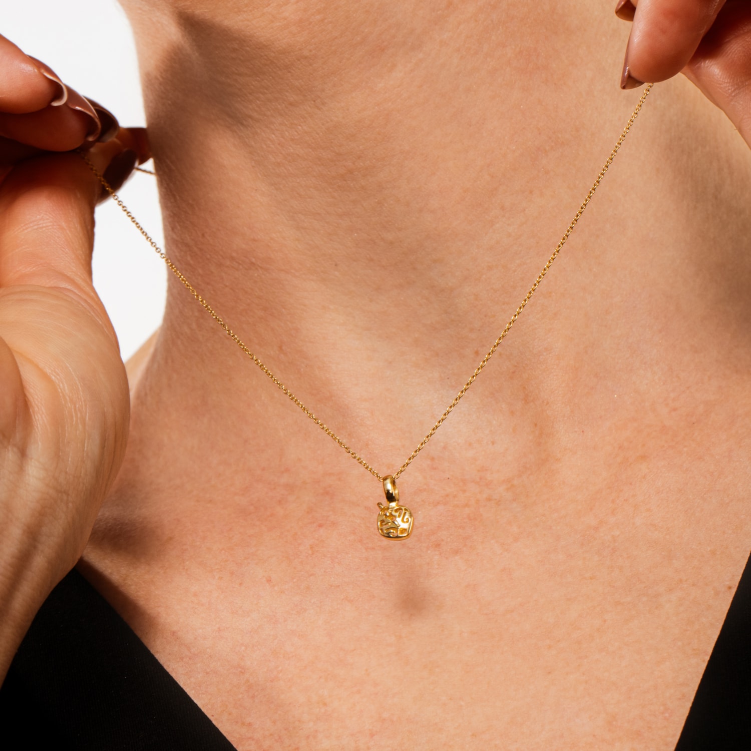 image_ded76acb-dd15-466e-9274-1fc124aac388