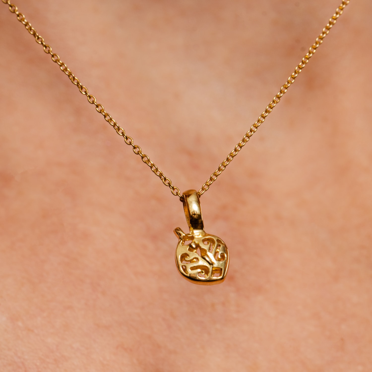 image_db8244ce-4f9d-4ba0-907f-cb19cfbba9c4