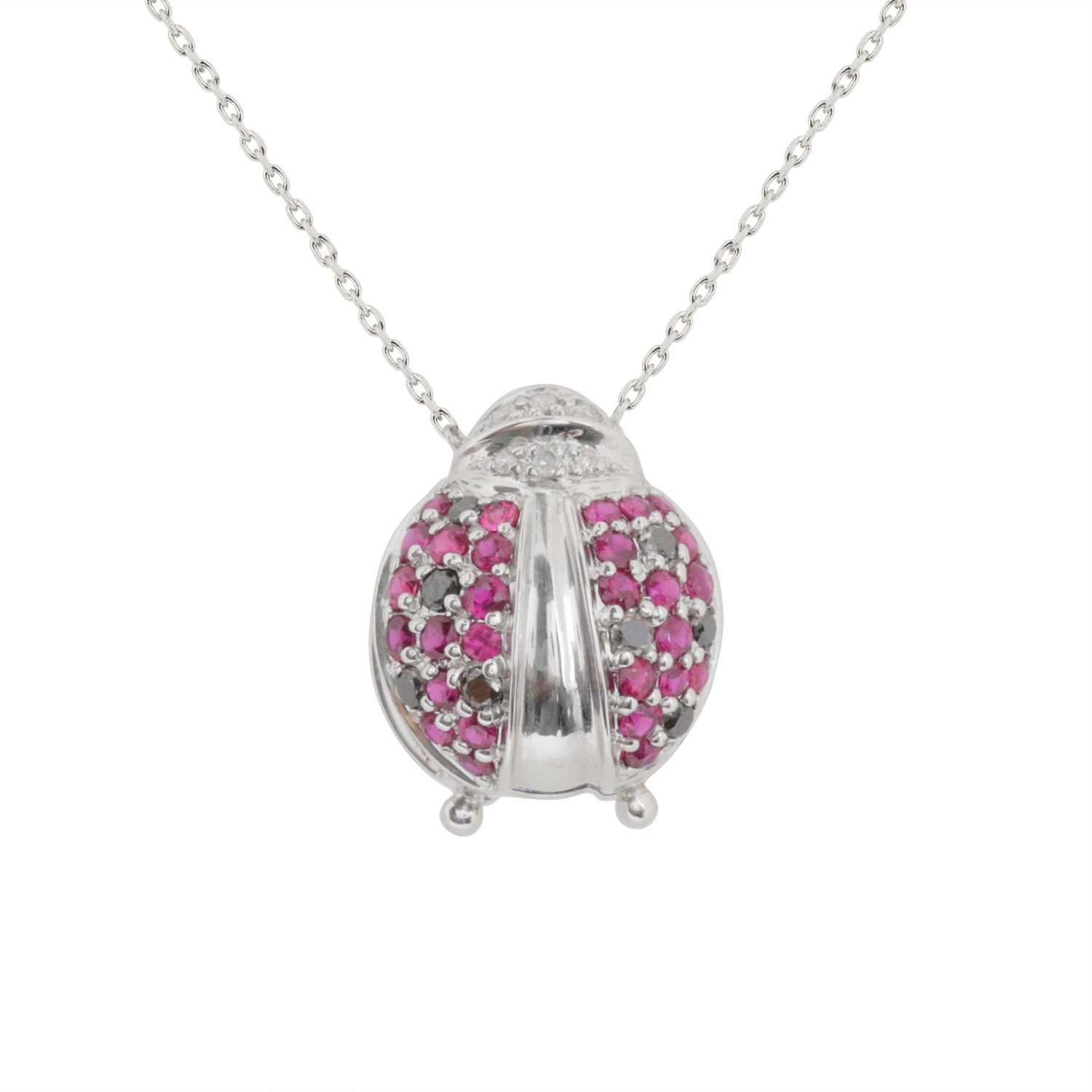 Product main image - 269d5ac1-03ce-4a0a-9e5b-78d06393d83e