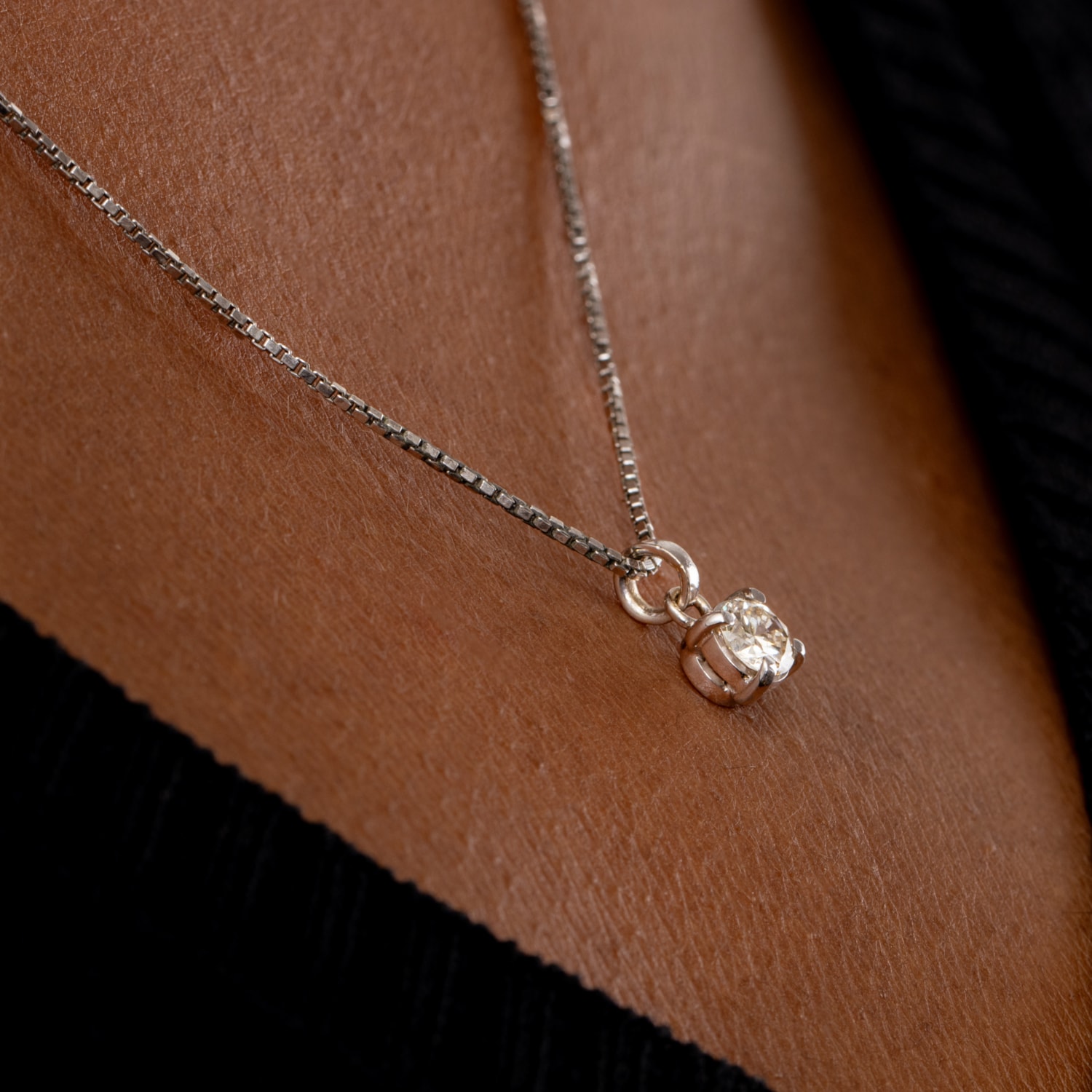 image_765145d4-d536-4b15-85d6-fd815ab9329f