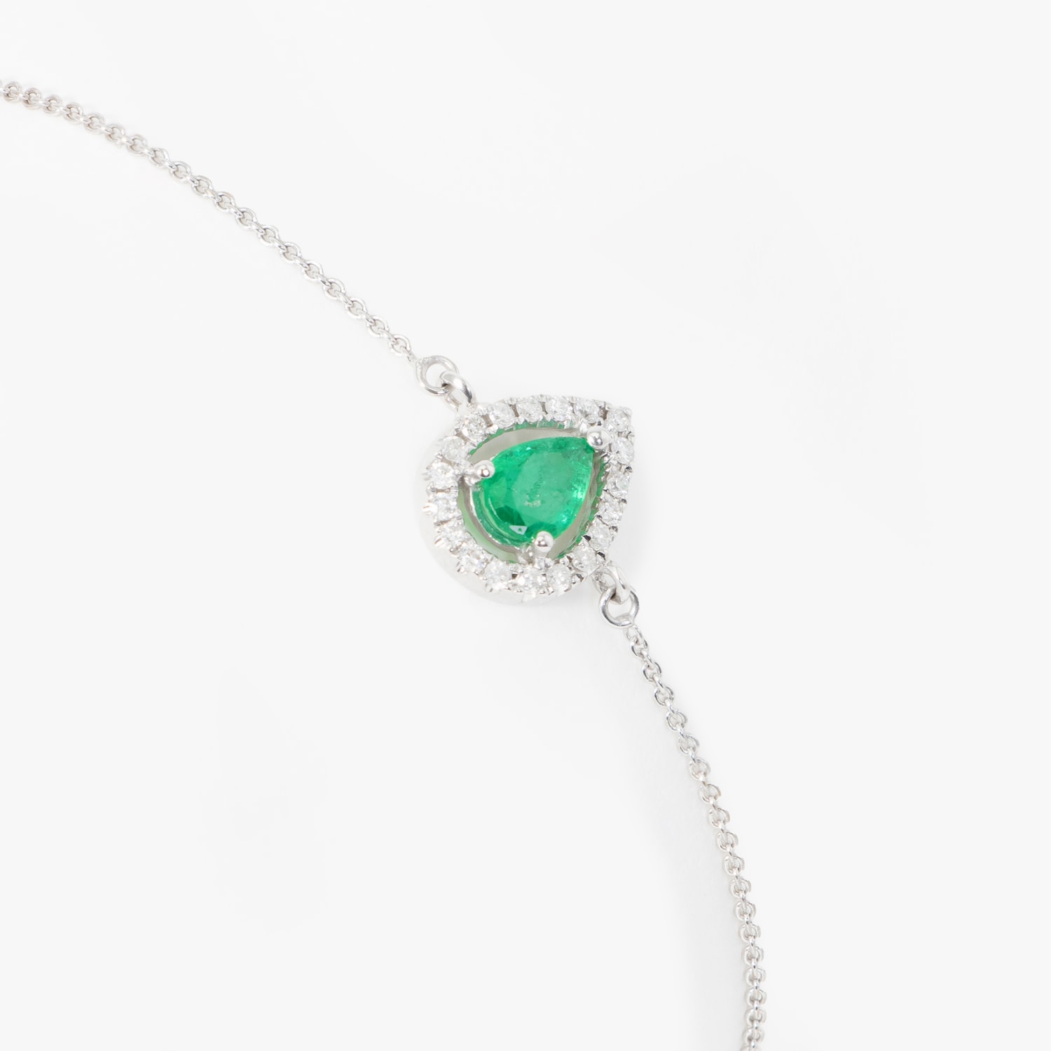 image_869a5905-9176-4878-82f1-5fdbf125a849