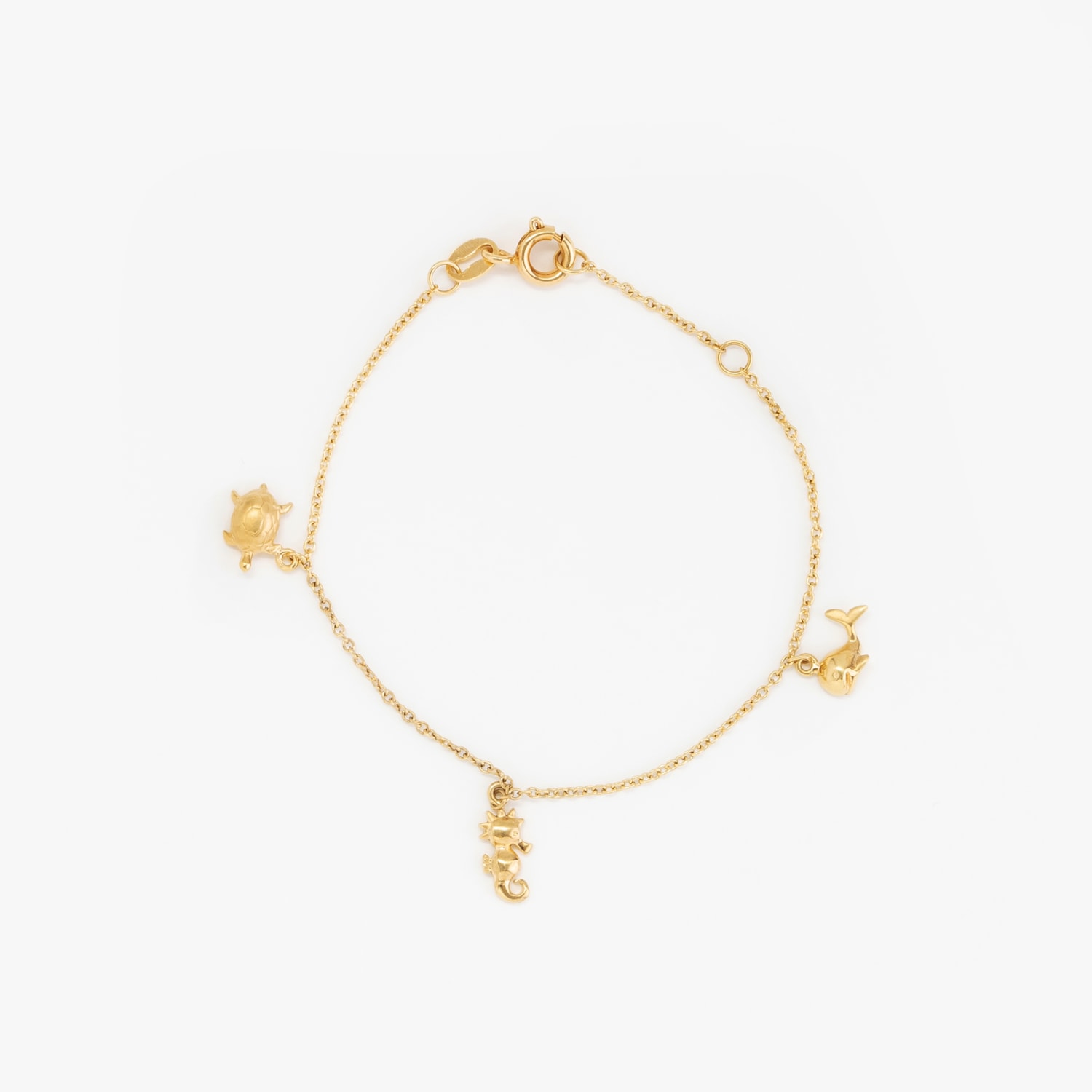 image_368dd25f-49ca-4383-bbd8-e68c4892adff