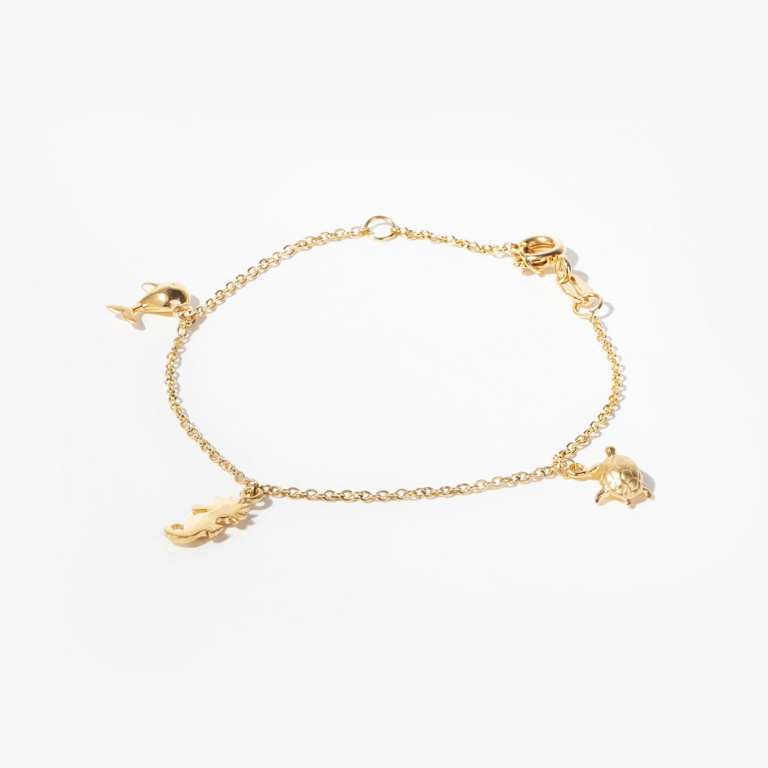 image_2d2793b1-094c-4f29-bf8b-17a29524288b